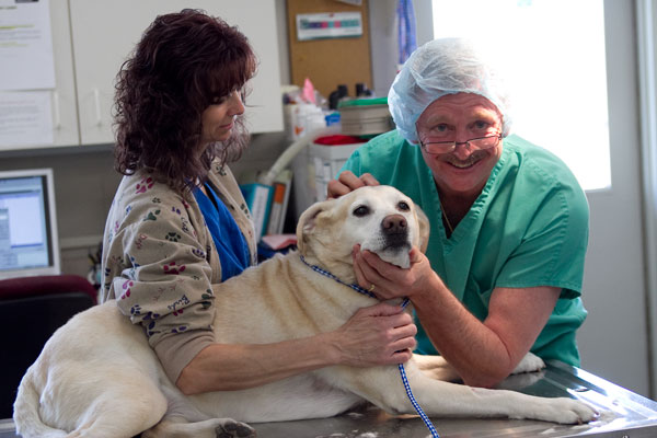 Compassionate Care for Our Furry Loved Ones at Vale Park