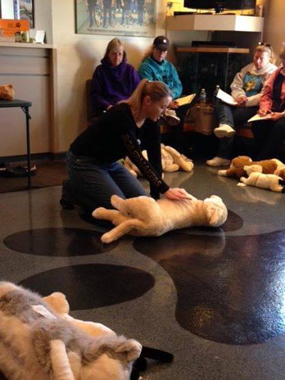 Vale Park Animal Hospital to Hold Pet CPR Course