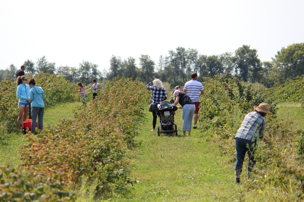 Orchard Season is Upon Us! Check Out What the Region Has to Offer