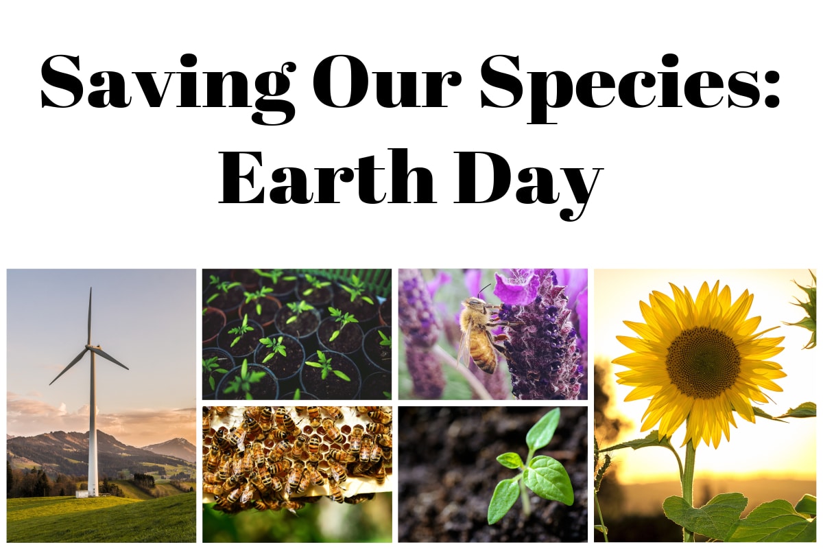 Save Our Species: Earth Day 2019 and all about bees