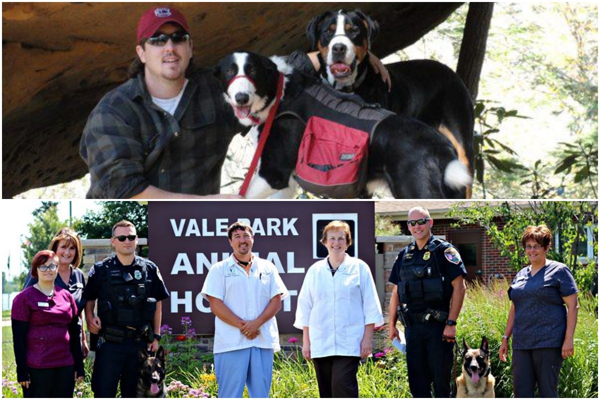 Spotlight on Vale Park Animal Hospital’s Dr. Brent Lakia